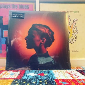 Agnes Obel