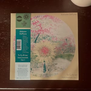 Vinyl